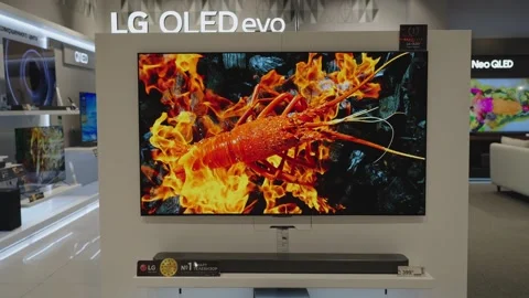 LG OLED TVs for sale in electronics store. Minsk, Belarus - november 30, 2023 Stock Footage 256982927