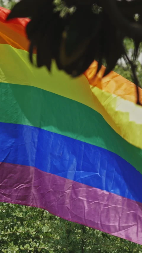 LGBT flag fluttering in the wind in the summer park Stock Footage 328480300