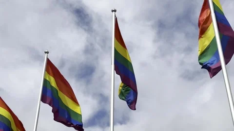 LGBT flags in the wind against cloudy sky Stock Footage 247323030