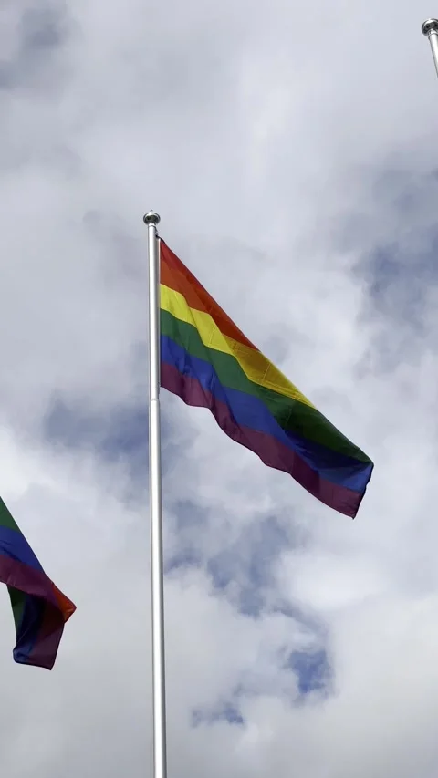 LGBT flags in the wind against cloudy sky, vertical Stock Footage 247323097