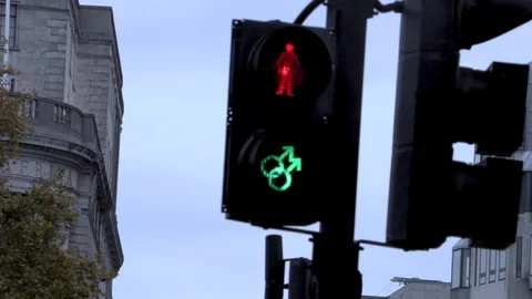 L.G.B.T Pedestrian Light Stock Footage 120297942
