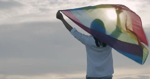LGBT Rainbow Flag. back view of woman holding the gay Rainbow Flag Stock Footage 135199359