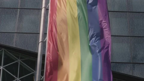 LGBTQ+ Pride Flag Stock Footage 204151358