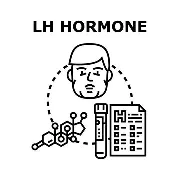 Lh hormone testing and human endocrine health Stock Illustration