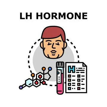 Lh hormone testing and human endocrine health Stock Illustration