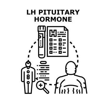 Lh pituitary hormone testing concept illustrating medical diagnostics 스톡 일러스트