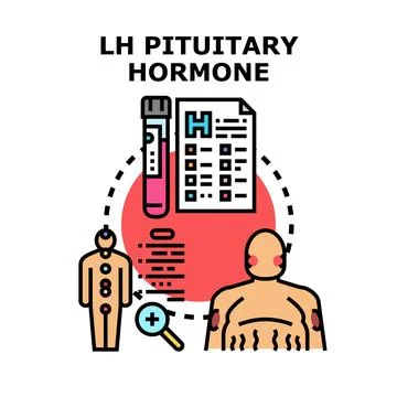 Lh pituitary hormone testing concept illustrating medical diagnostics 스톡 일러스트
