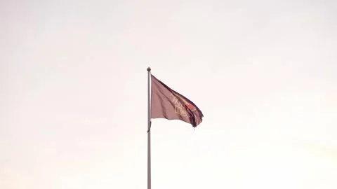 LHC flag Stock Footage 285425278