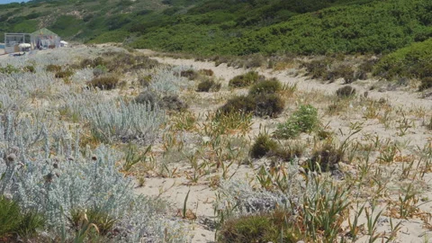 Li feruli beach near Trinit d'Agulti and Vignola, Sardinia - Italy. To access Stock-Footage 138896678