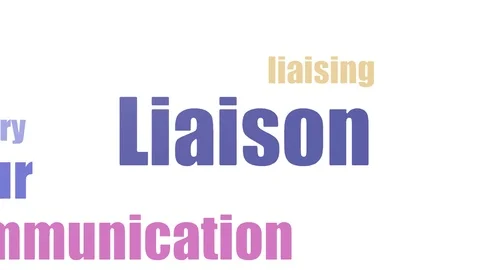 Liaison Wordcloud Animated Isolated Video stock 107220224