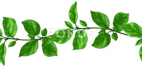 Plant Vines Green, Leaves Stock Illustration