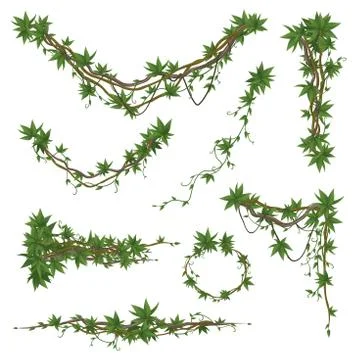 Lianas branches set on white background Stock Illustration