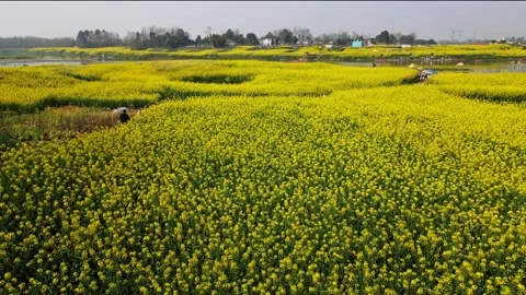 Liangheko0032 Stock Footage 171715154