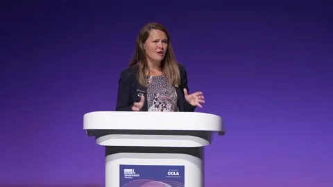 Lib Dem MP says elected mayors are eroding local democracy Video stock 312337564