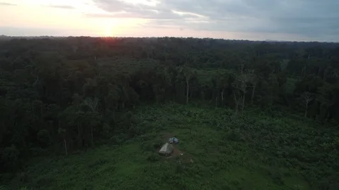 Liberia, Monrovia, Drone shot of palm forest/plantation at sunset Stock Footage