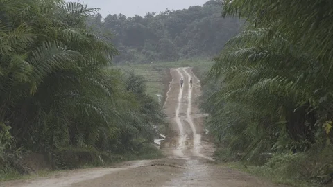 Liberia, Monrovia Stock Footage 99041054
