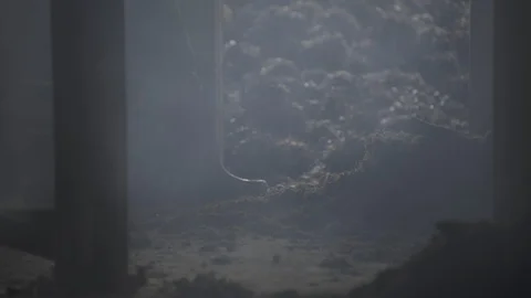 Liberia, Monrovia, smoke coming off processing pot with worker shovelling fruit Stock Footage 99062308