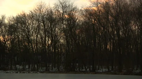 Liberta0057 Stock Footage 1054341