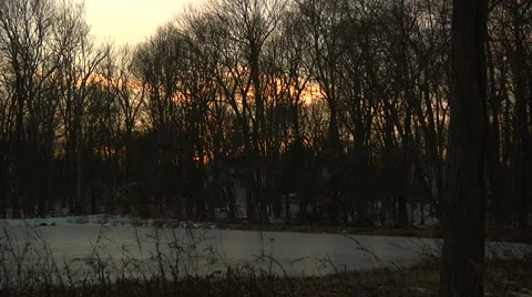 Liberta0059 Video stock 1054378