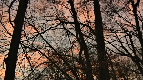 Liberta0060 Stock-Footage 1054407