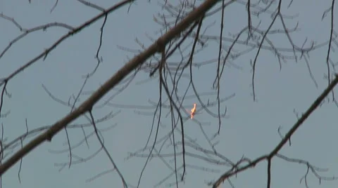 Liberta0062 Stock Footage 1054191