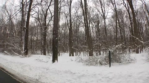 Liberta0070 Video stock 1055035