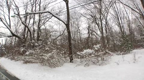 Liberta0071 Video stock 1055046