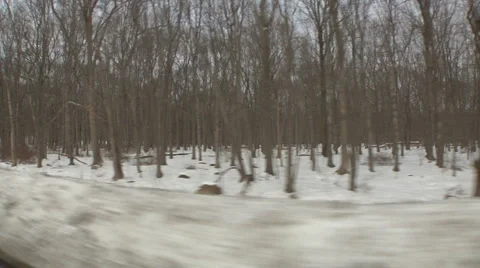 Liberta0078 Stock Footage 1056340