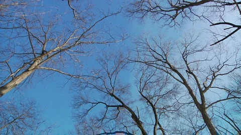 Liberta0083 Stock-Footage 1056905