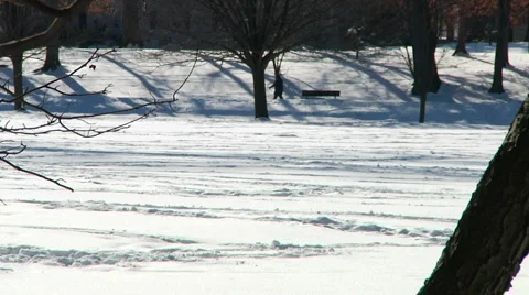 Liberta0087 Stock Footage 1056827