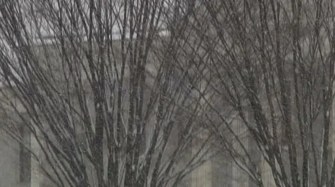 Liberta0119 Video stock 1057741