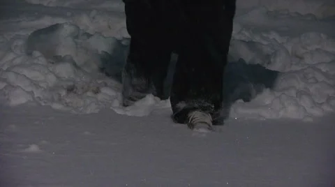 Liberta0125 Stock Footage 1059262