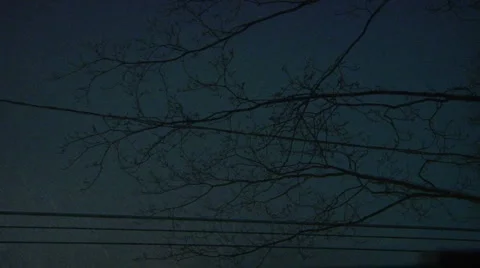 Liberta0137 스톡 동영상 1059365