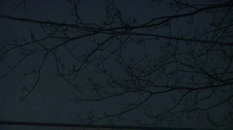 Liberta0138 Video stock 1059368