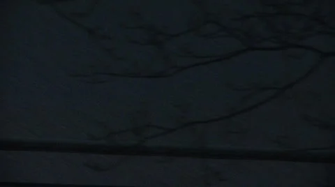 Liberta0141 Stock-Footage 1059519