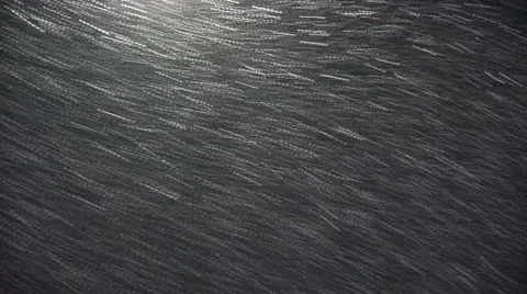 Liberta0143 Video stock 1059590