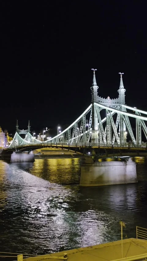 Liberty Bridge Budapest Night View with Danube River and City Lights 動画素材 333072096
