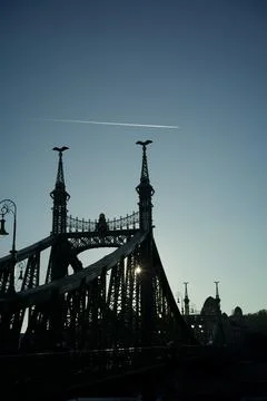 The Liberty Bridge - Budapest Foto stock