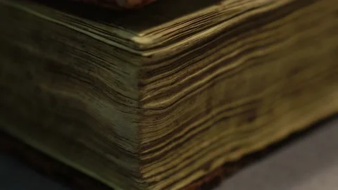 Librarian opens thick book with old thorn pages to read Stock Footage 169479154