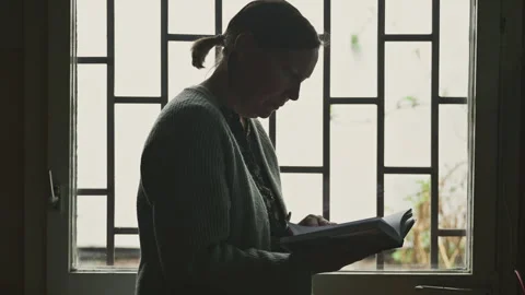 Librarian standing by window in old library office reading a book, soft day.. Stock Footage 337533867