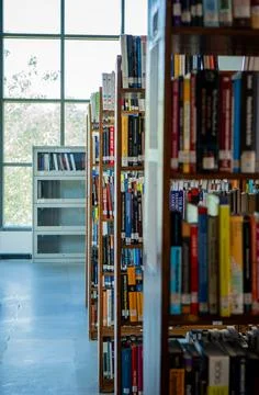 Library with Book shelves multi store background Stock Photos