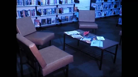 Library Patrons Read and Study in Australia, 1979 Stock Footage 339307187