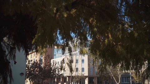 Library revealing through tree branches summer sunny day Vídeo Stock 127614644