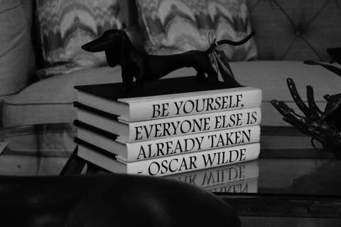 Library of Self 写真素材