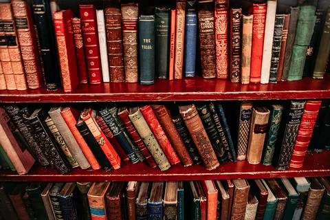 Library shelf filled with an array of colorful books. Stock-Fotos