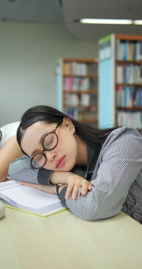 Library Slumber Stock Footage 332390124