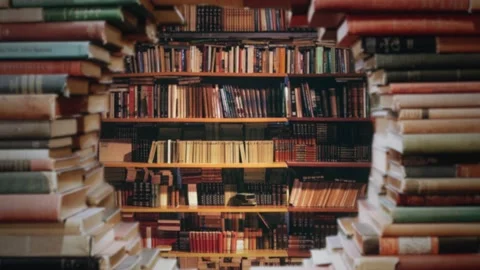 Library Stack of Books Zooming Through Bookshelves Stock-Footage 158107059