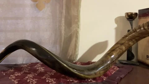 Library in the synagogue Shofar on the shelf. Stock Footage 261331509