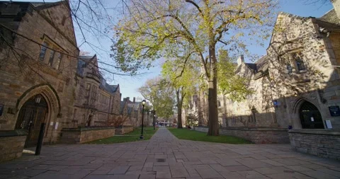 Library walk in Old Yale Campus . New-Haven Stock Footage 149230805