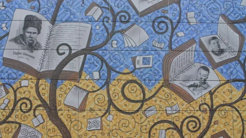 Library wall Stock Footage 224110713